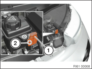 GRA-PIX-GRRI-61-000-08